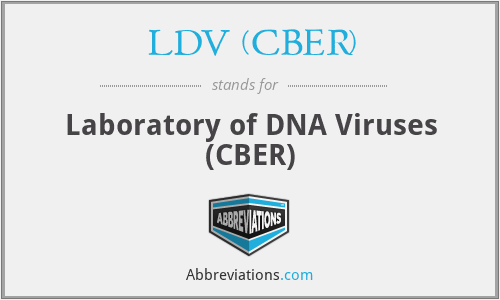 LDV (CBER) - Laboratory of DNA Viruses (CBER)
